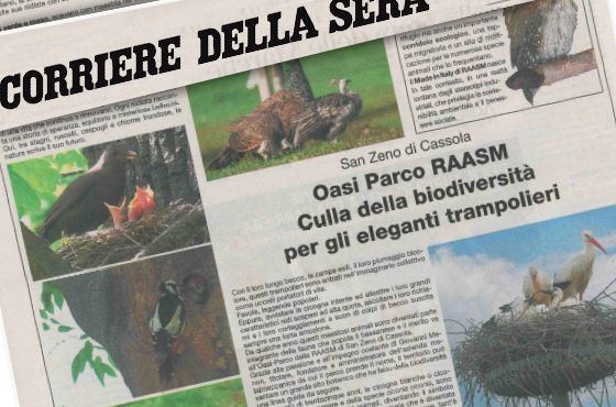 Un connubio tra innovazione e sensibilità ambientale