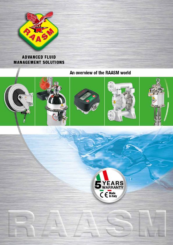 AN OVERVIEW OF THE RAASM WORLD